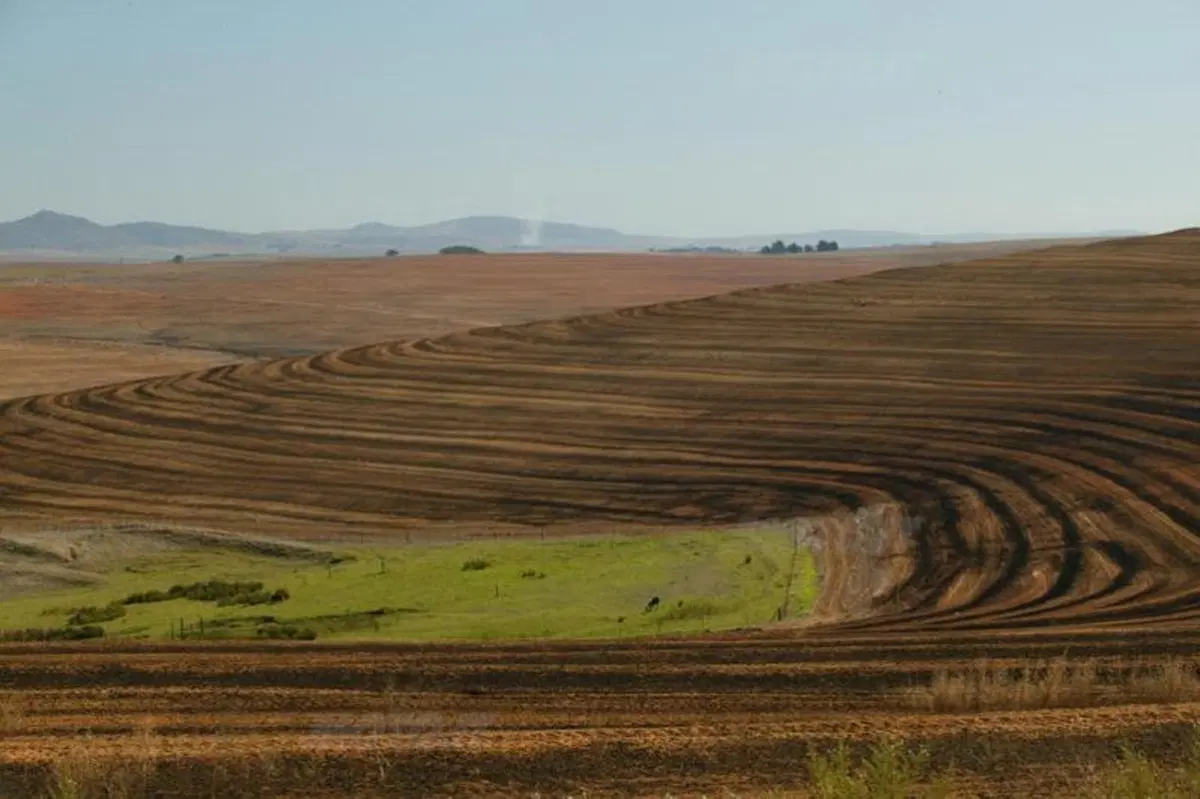 Turismo. In Vespa alla scoperta del Sud Africa (79)