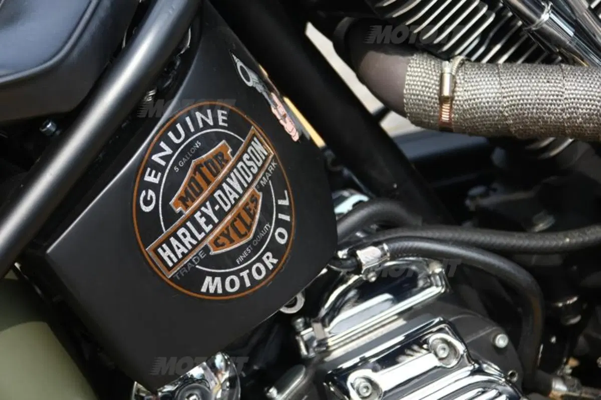 Swiss Harley Days 2010 a Lugano (56)
