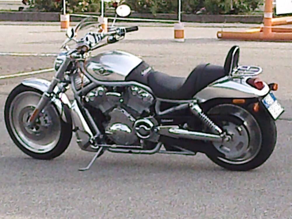 Harley-Davidson 1130 V-Rod (2002 - 05) - VRSCA (3)