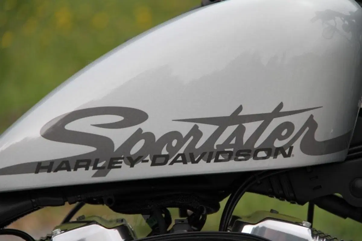 Harley-Davidson Forty-Eight  (29)