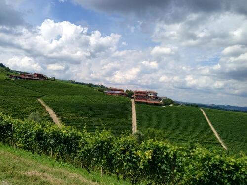 In viaggio con Camilla: le Langhe (9)