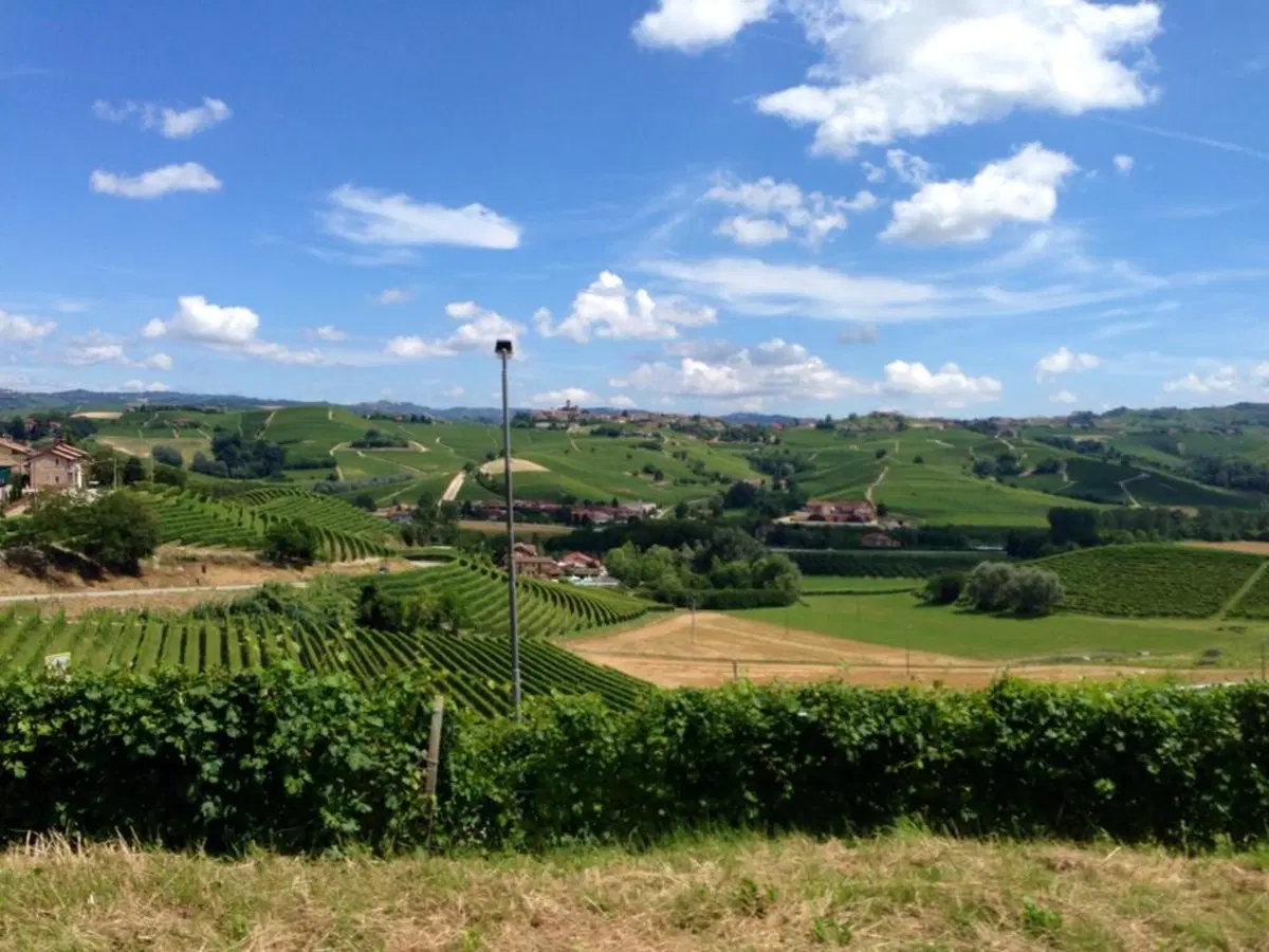 In viaggio con Camilla: le Langhe (10)