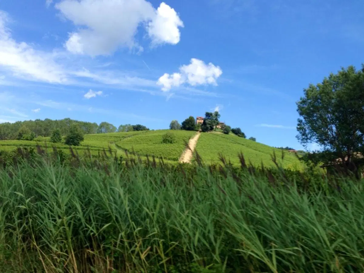 In viaggio con Camilla: le Langhe (12)