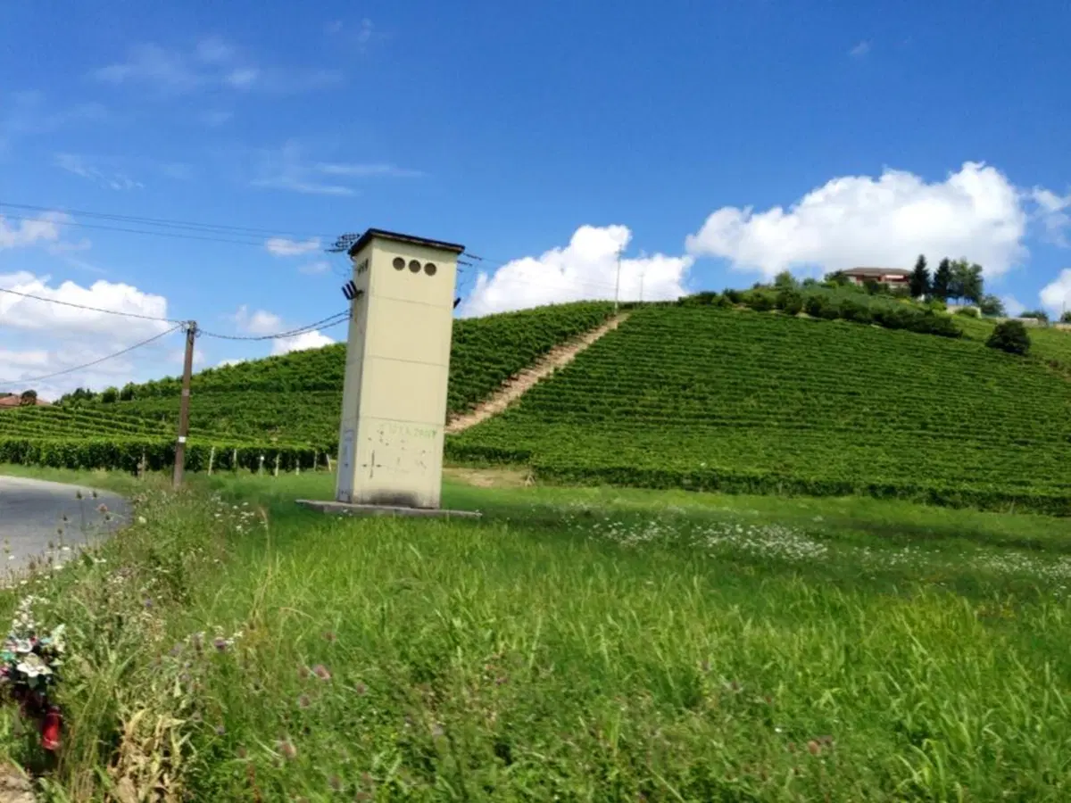 In viaggio con Camilla: le Langhe (13)