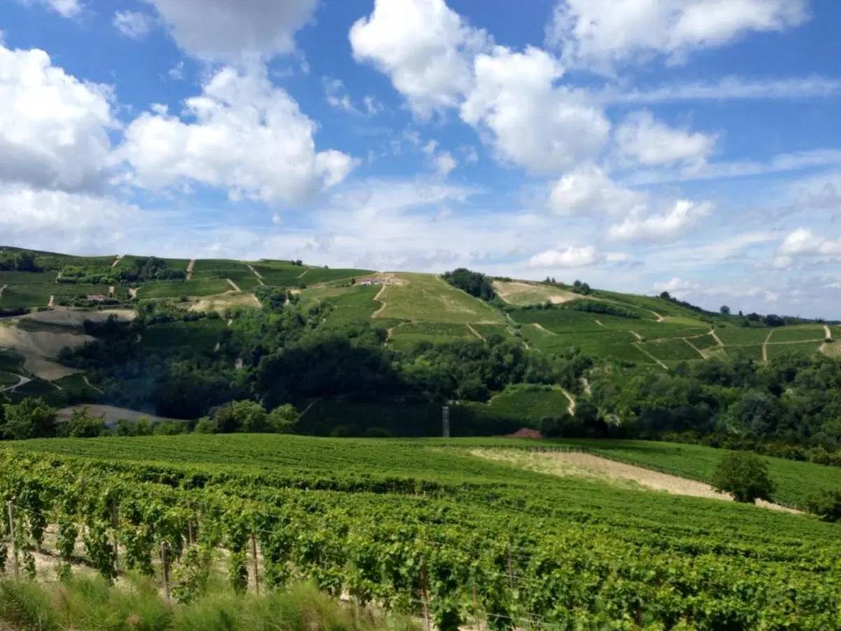 In viaggio con Camilla: le Langhe (15)