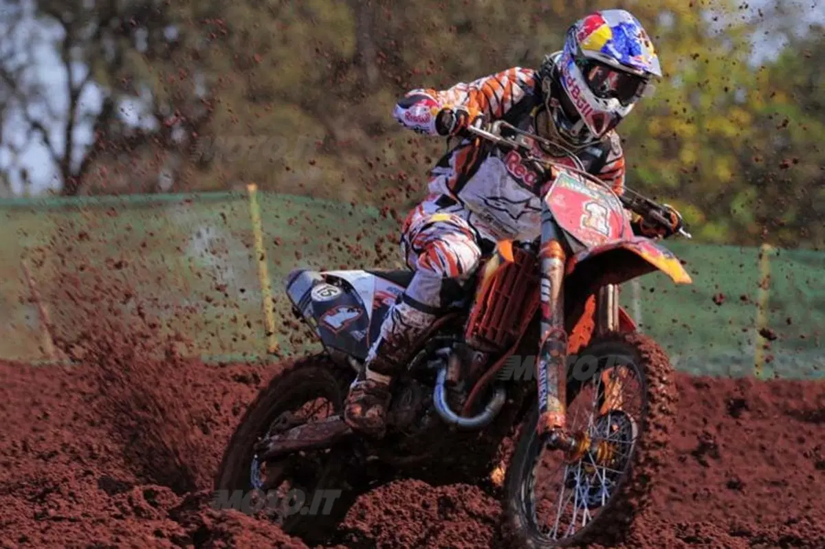 Philippaerts & Cairoli brasileri (2)