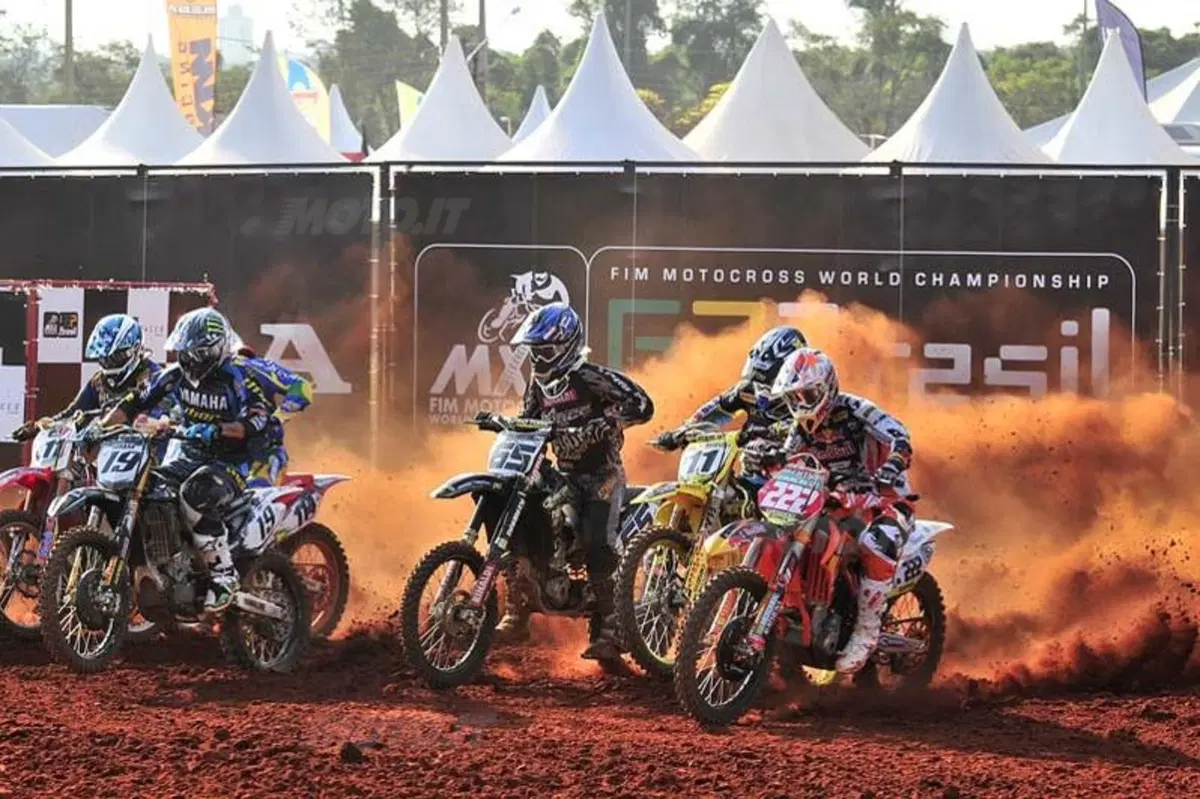 Philippaerts & Cairoli brasileri (3)