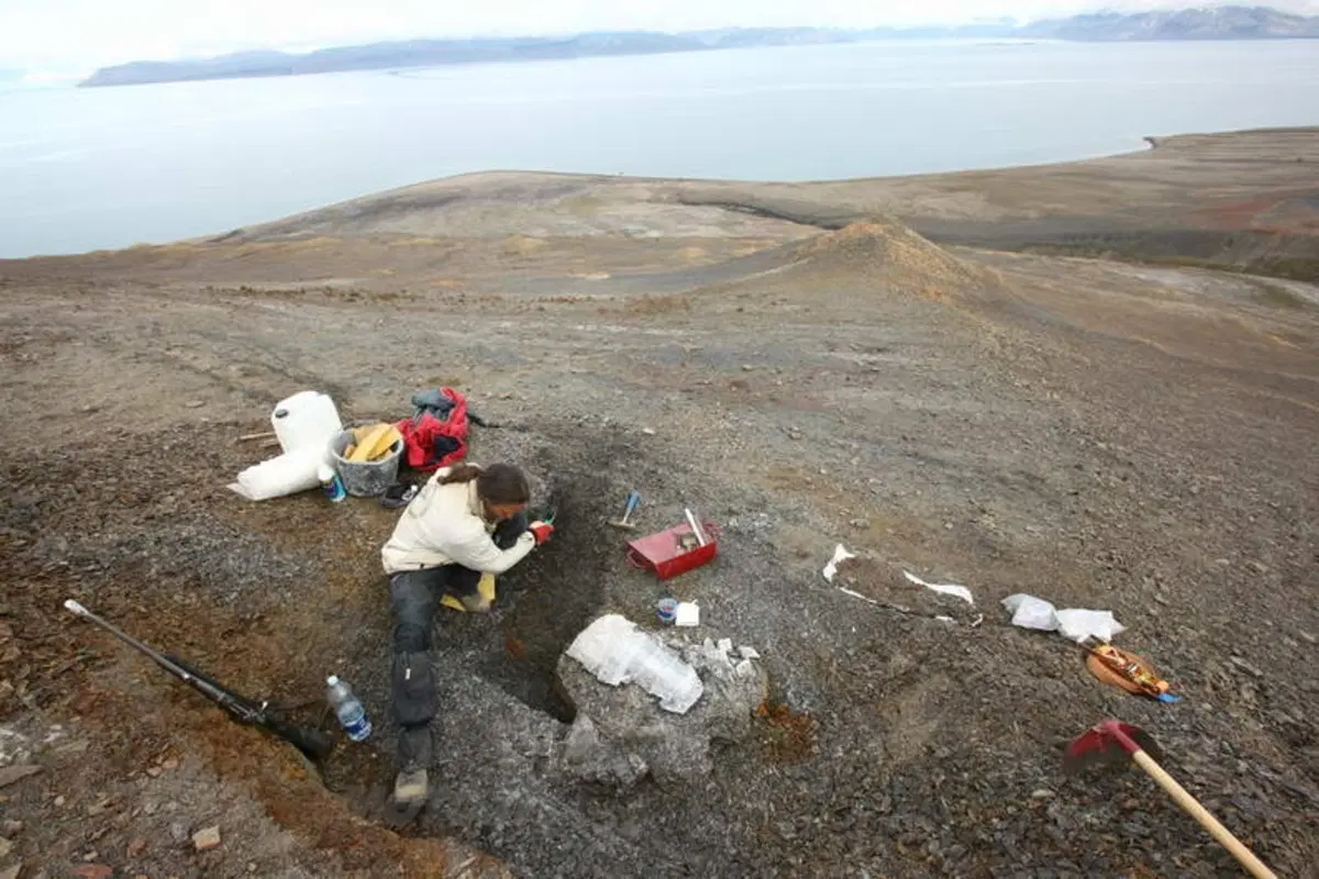 Turismo. Le Isole Svalbard e il Polo Nord (27)