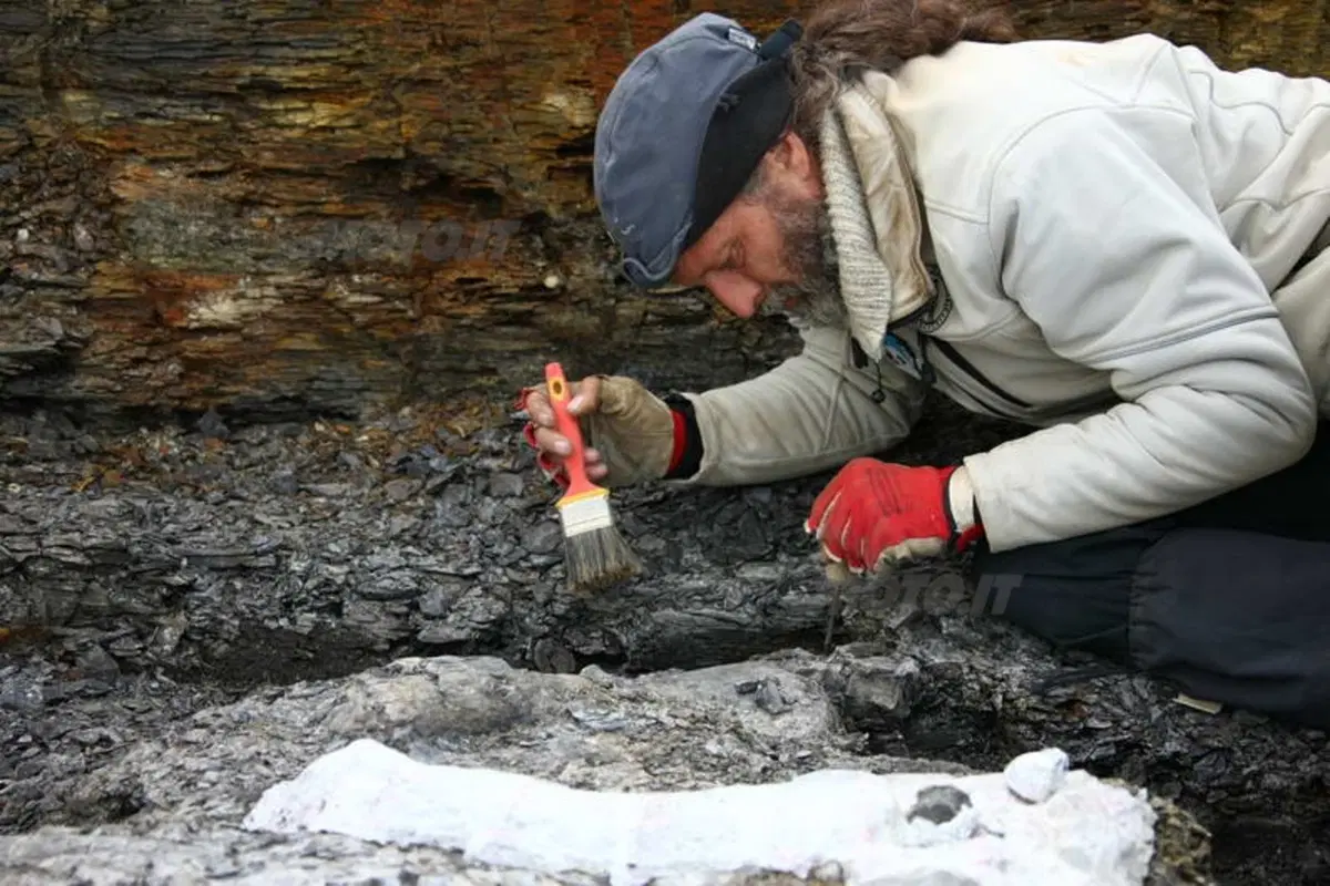 Turismo. Le Isole Svalbard e il Polo Nord (28)