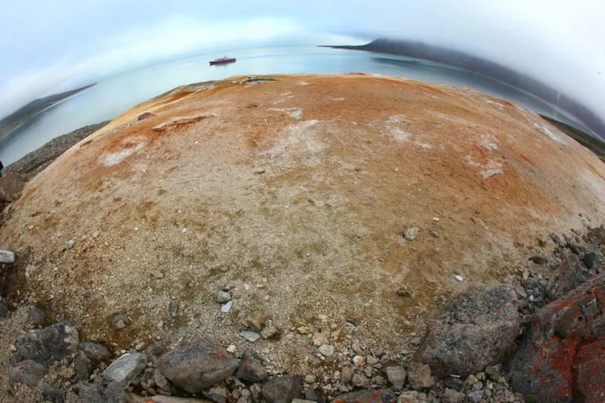 Turismo. Le Isole Svalbard e il Polo Nord (45)