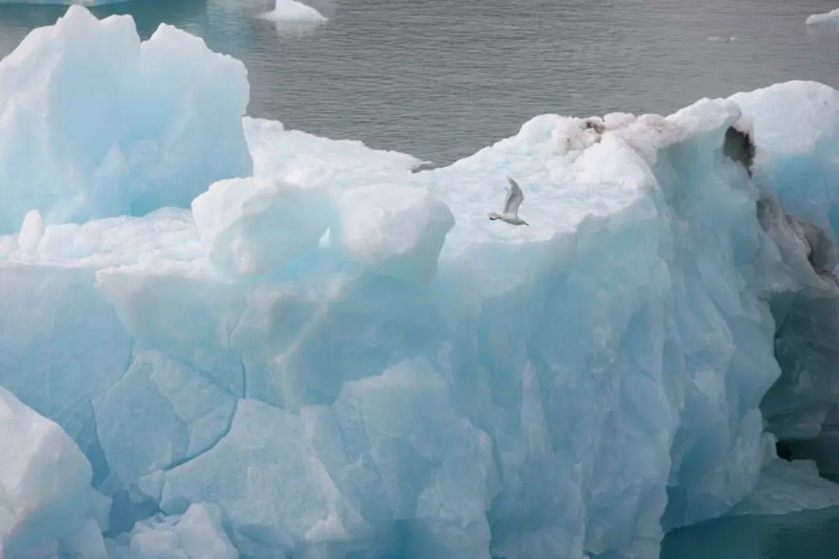 Turismo. Le Isole Svalbard e il Polo Nord (50)