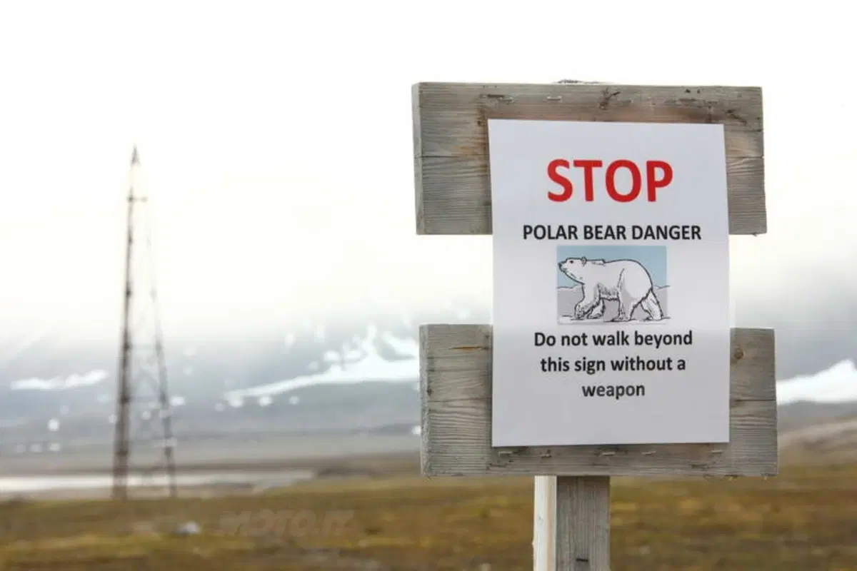Turismo. Le Isole Svalbard e il Polo Nord (60)
