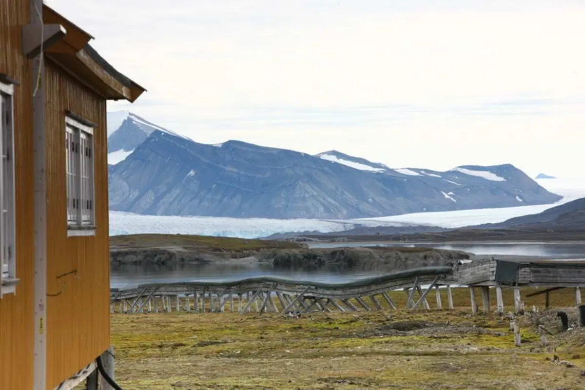 Turismo. Le Isole Svalbard e il Polo Nord (63)