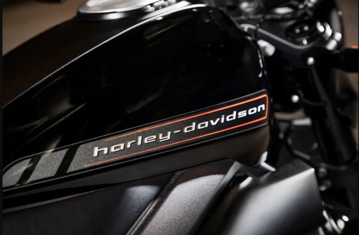Harley-Davidson LiveWire LiveWire (2019 - 22) (7)
