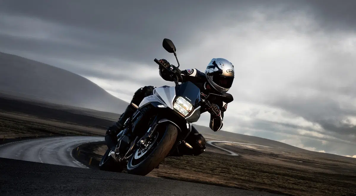 Suzuki Katana 1000 Katana 1000 (2019 - 20) (9)