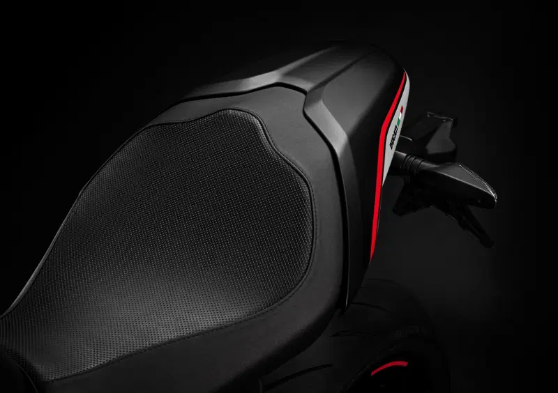 Ducati Monster 821 Monster 821 Stealth (2019 - 20) (3)