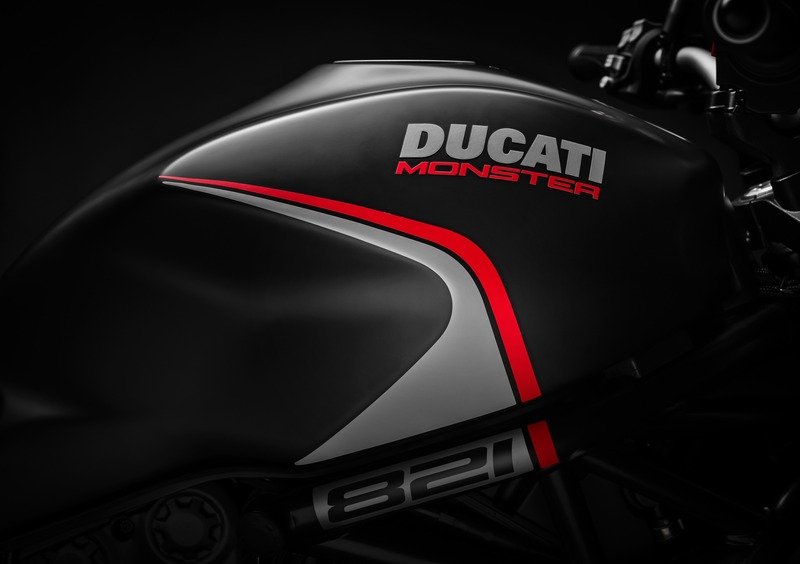 Ducati Monster 821 Monster 821 Stealth (2019 - 20) (6)