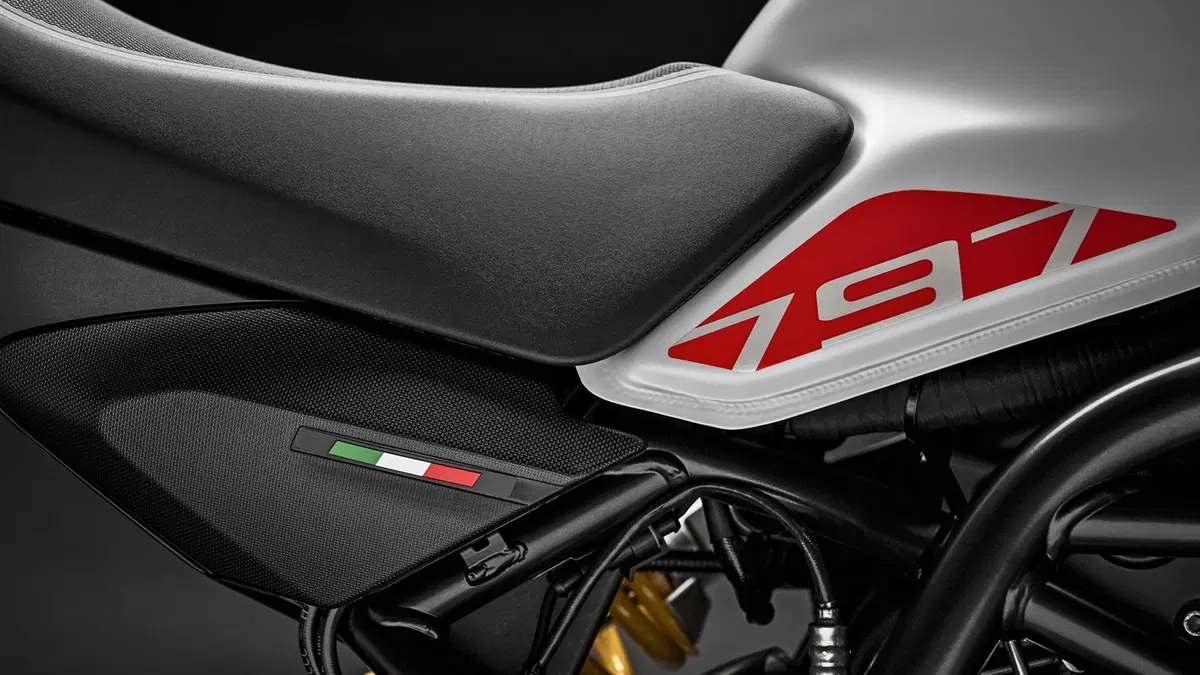 Ducati Monster 797 Monster 797 (2019 - 20) (2)