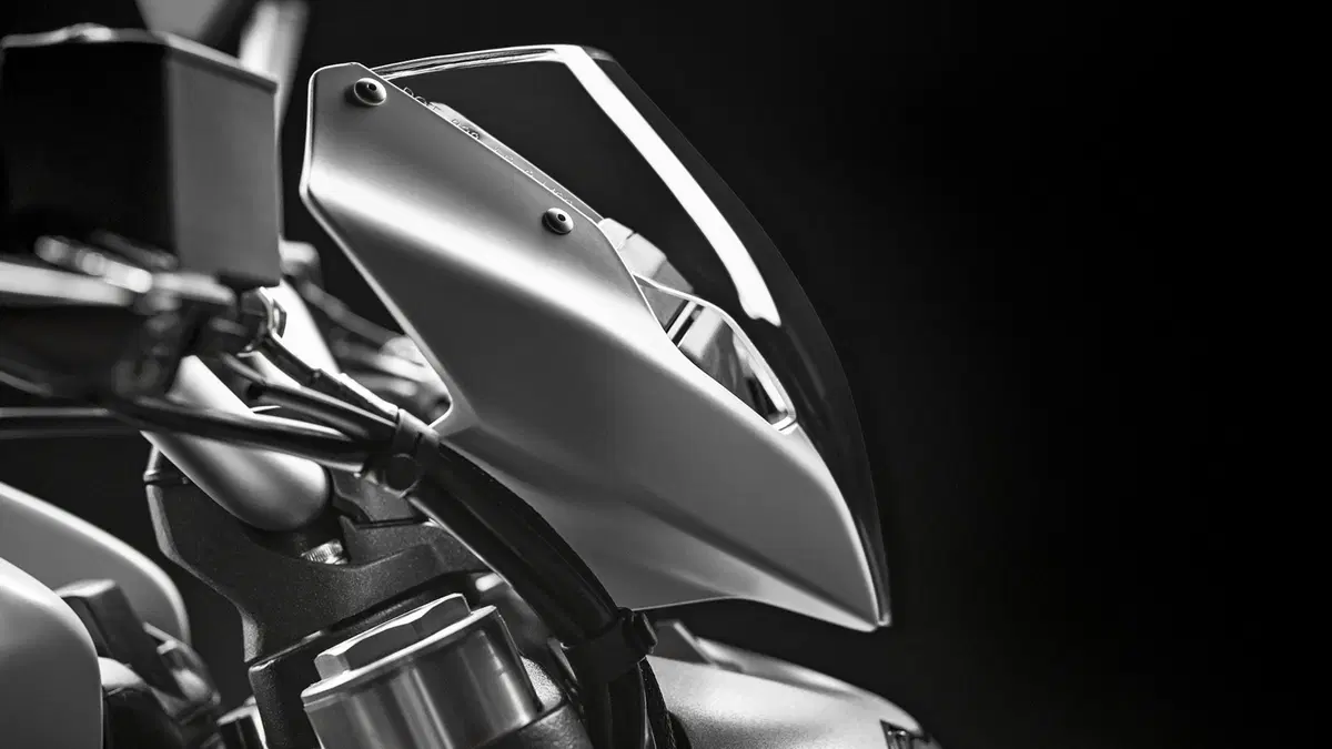Ducati Monster 797 Monster 797 (2019 - 20) (3)