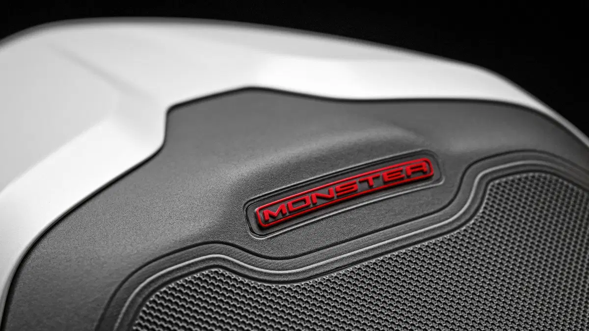 Ducati Monster 797 Monster 797 (2019 - 20) (5)