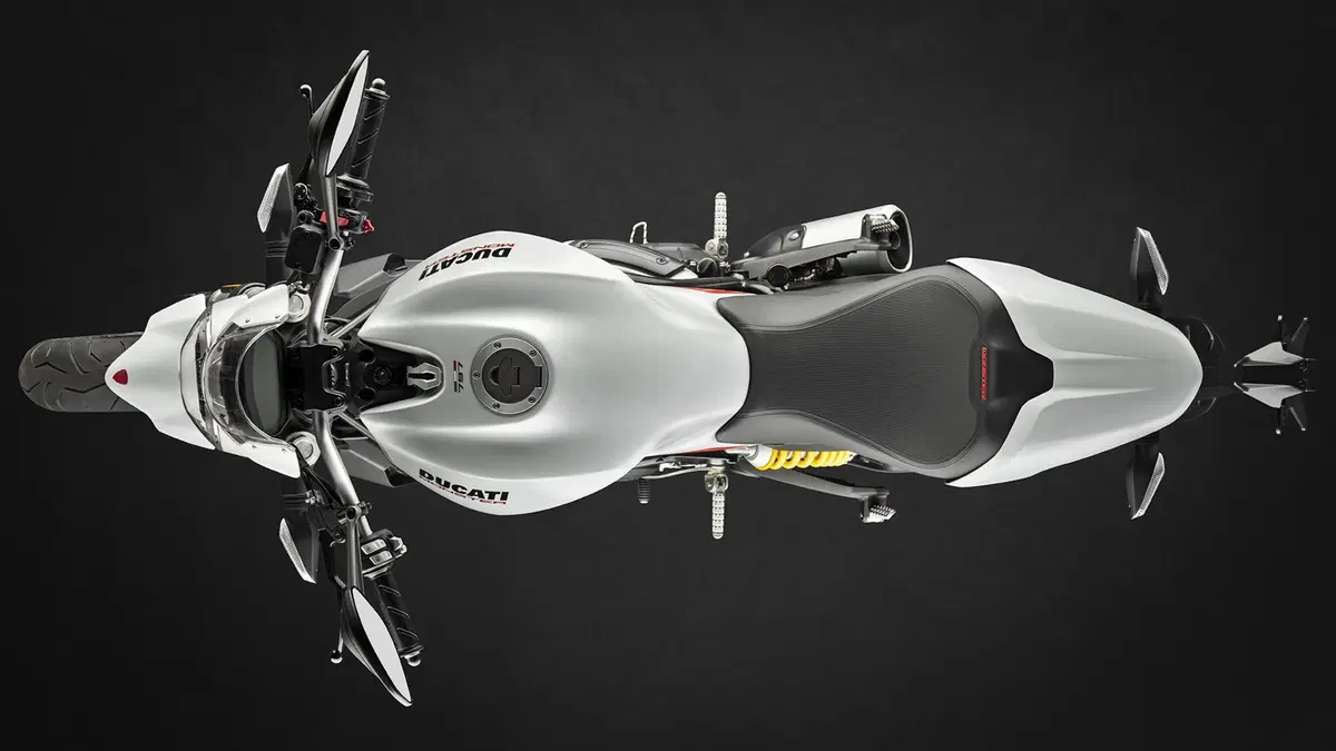 Ducati Monster 797 Monster 797 Plus (2019) (6)
