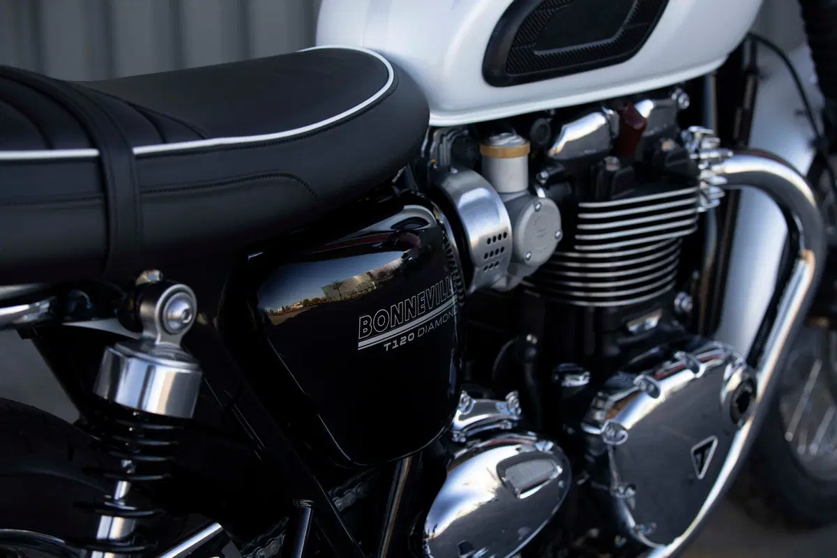 EICMA 2018: Triumph T120 Diamond e T120 Ace 2019, due edizioni speciali (5)