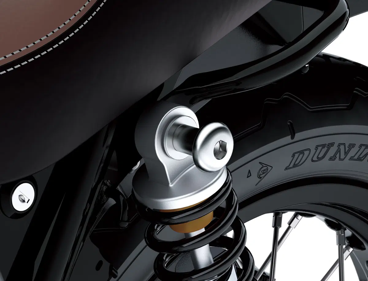 Kawasaki W 800 W 800 Cafè (2019 - 21) (10)