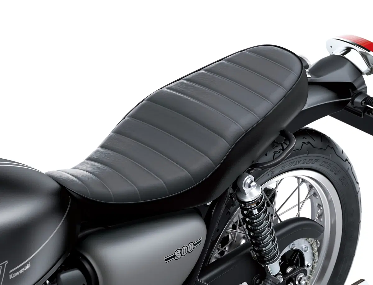 Kawasaki W 800 W 800 Street (2019 - 20) (6)