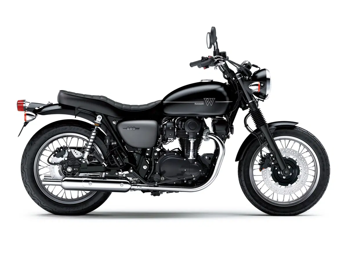 Kawasaki W 800 W 800 Street (2019 - 20) (7)