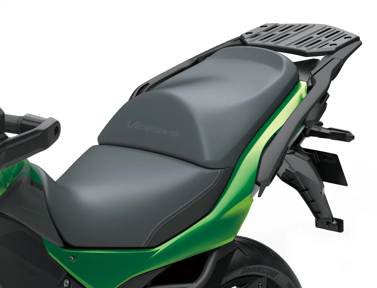 Kawasaki Versys 1000 Versys 1000 SE (2019 - 20) (19)