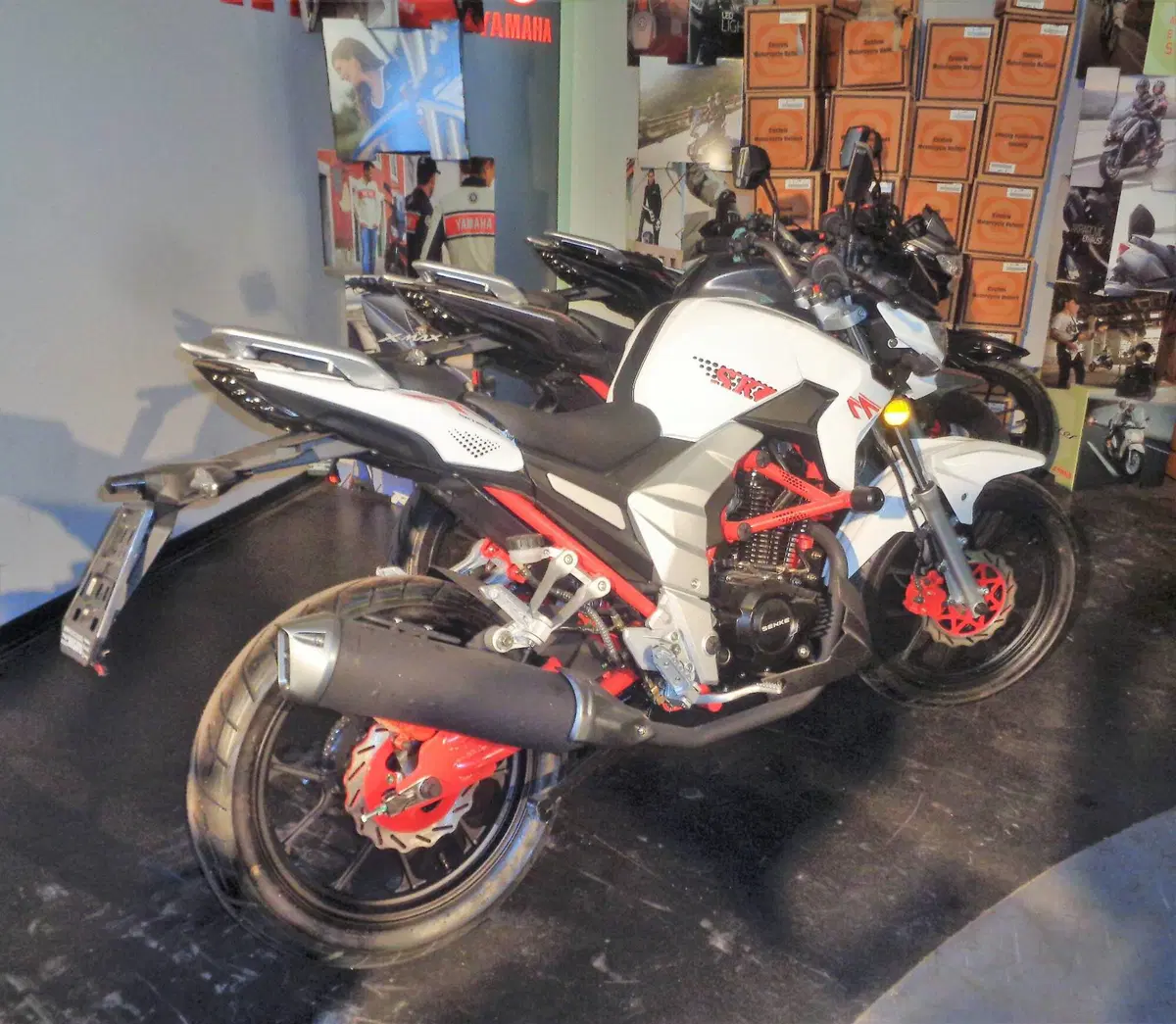Senke Naked 125 Sport SK (2017 - 20) (3)