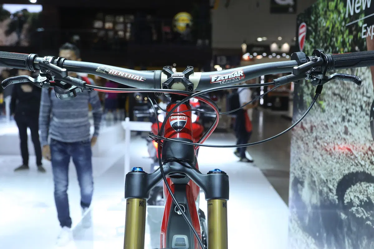 Ducati E-MTB MIG-RR a EICMA 2018  (6)