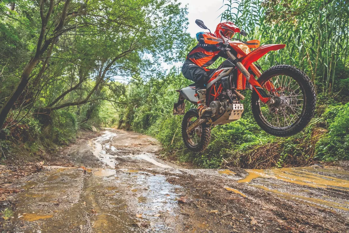 EICMA 2018: KTM 690 Enduro R e SMC R, foto e dati (2)