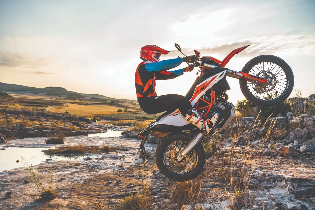 EICMA 2018: KTM 690 Enduro R e SMC R, foto e dati (25)