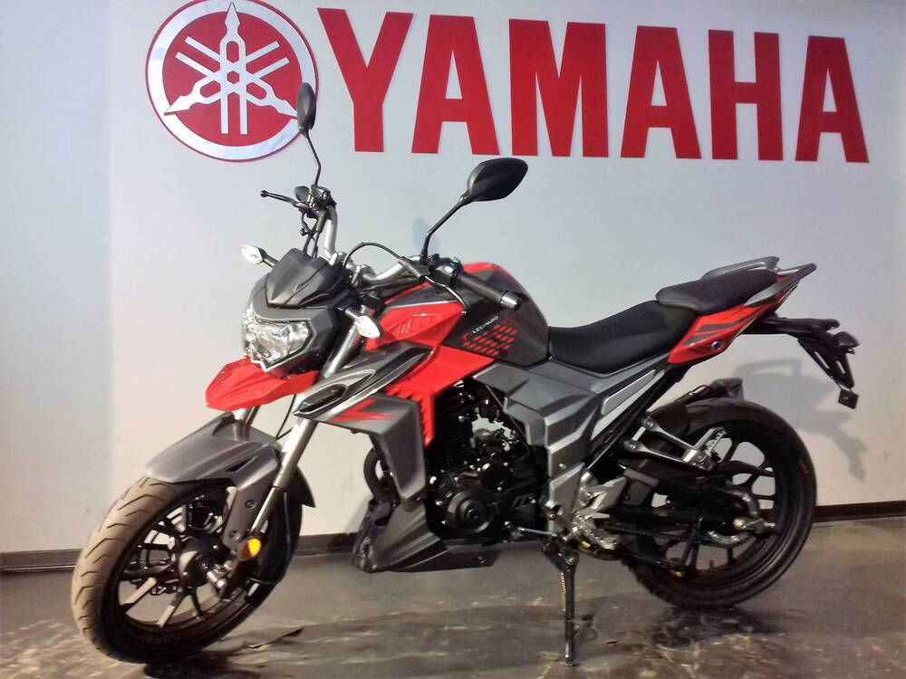 Senke Naked 125 Sport SK (2017 - 20) (5)