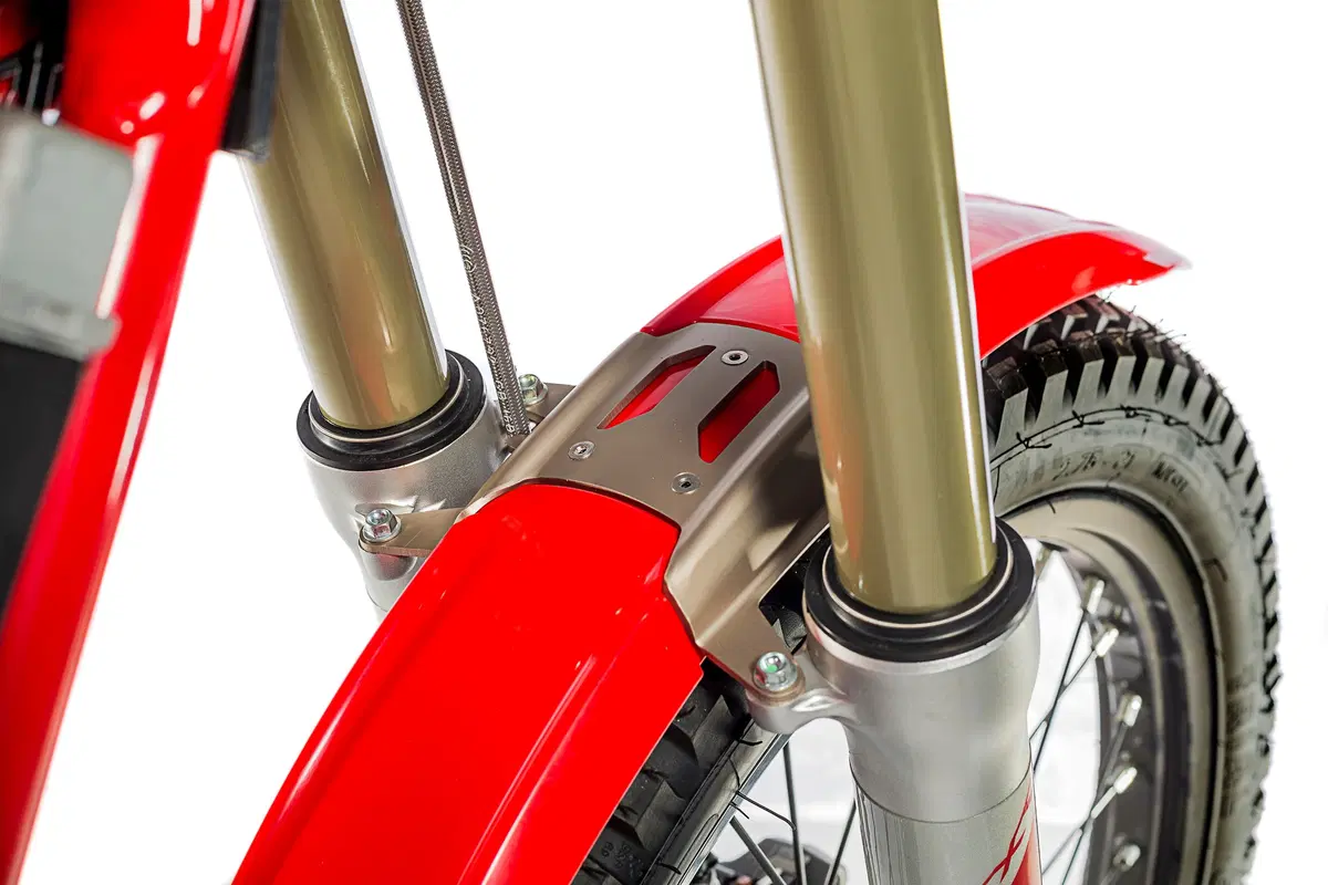 GASGAS TXT 250 TXT 250 Racing (2019 - 20) (36)