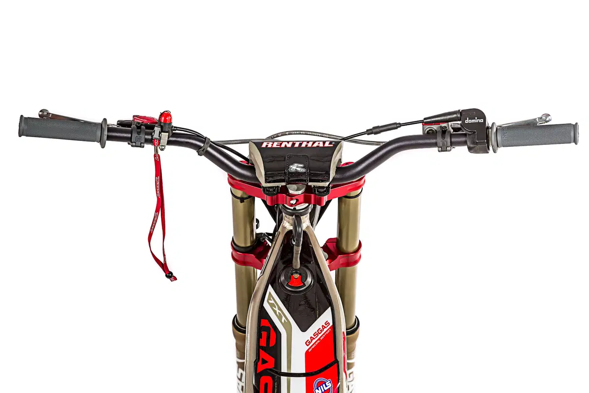 GASGAS TXT 250 TXT 250 GP (2019) (10)