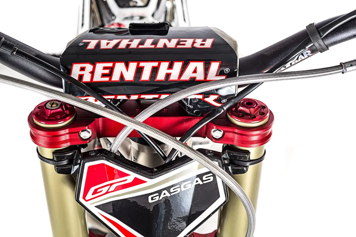 GASGAS TXT 250 TXT 250 GP (2019) (15)