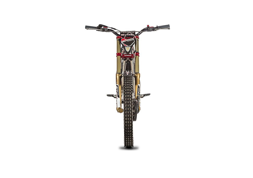 GASGAS TXT 250 GP (2019) (3)