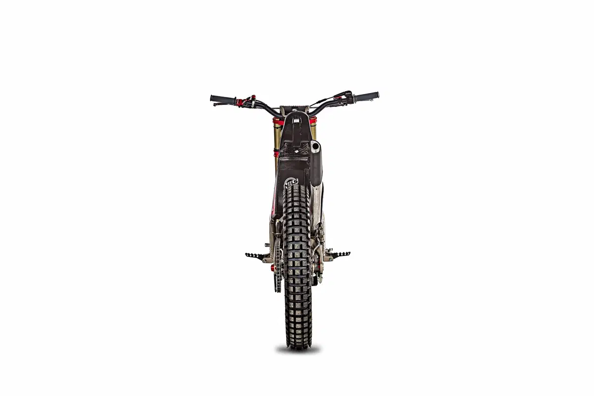 GASGAS TXT 250 TXT 250 GP (2019) (9)