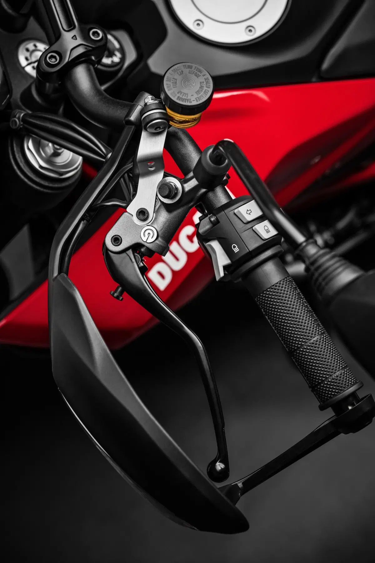 Ducati Hypermotard 950 Hypermotard 950 (2019 - 20) (8)