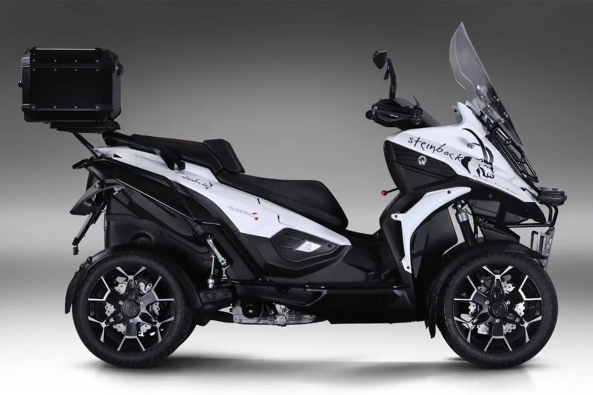 Quadro Qooder 400 Qooder 400 Steinbock (2019) (3)