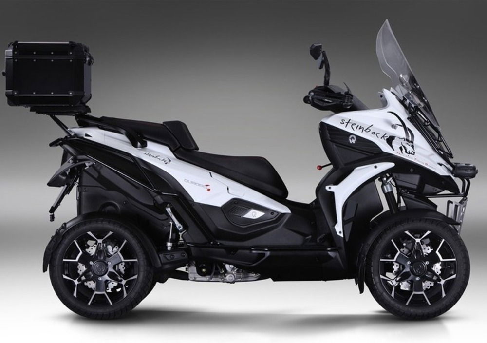 Quadro Qooder 400 Steinbock (2019) (3)