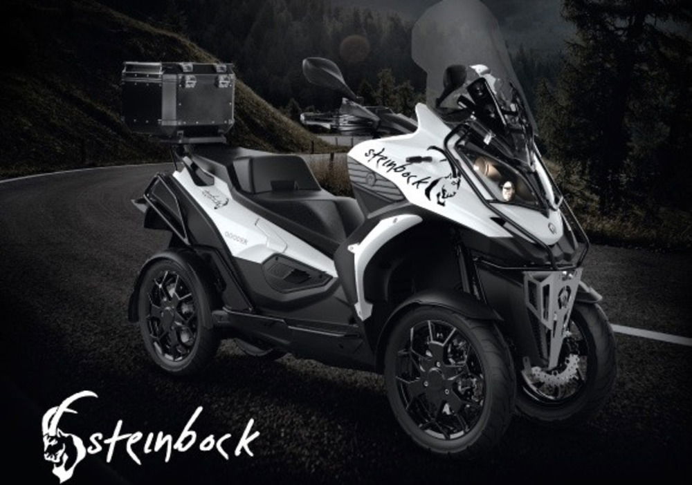 Quadro Qooder 400 Steinbock (2019) (2)