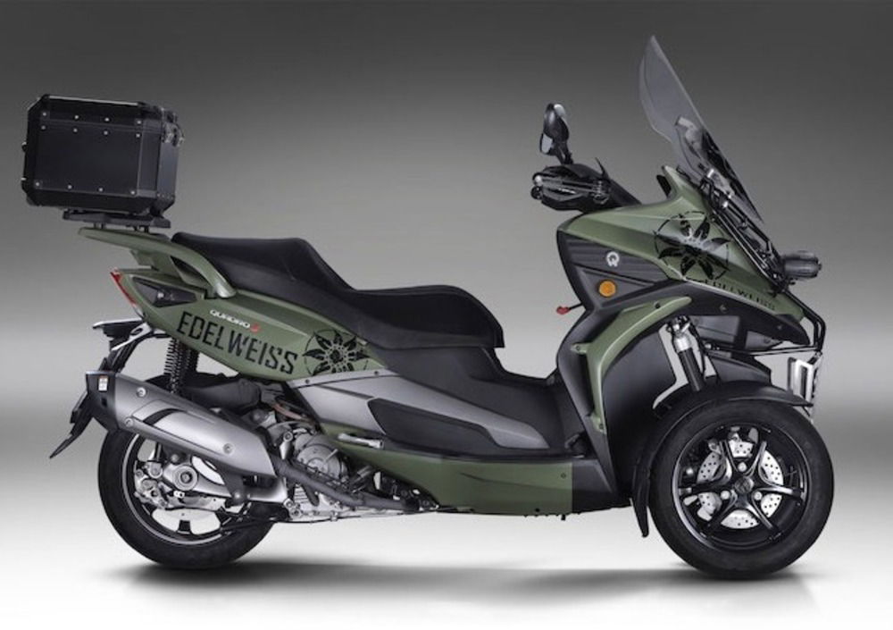 Quadro QV3 Edelweiss (2019) (2)