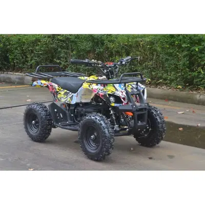  Altre moto o tipologie Quad nuova