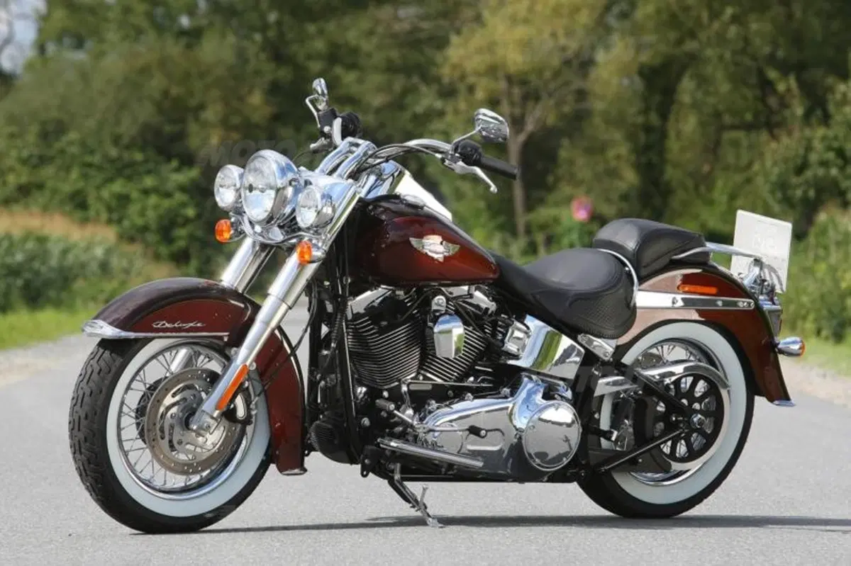 Harley-Davidson 2011  (55)