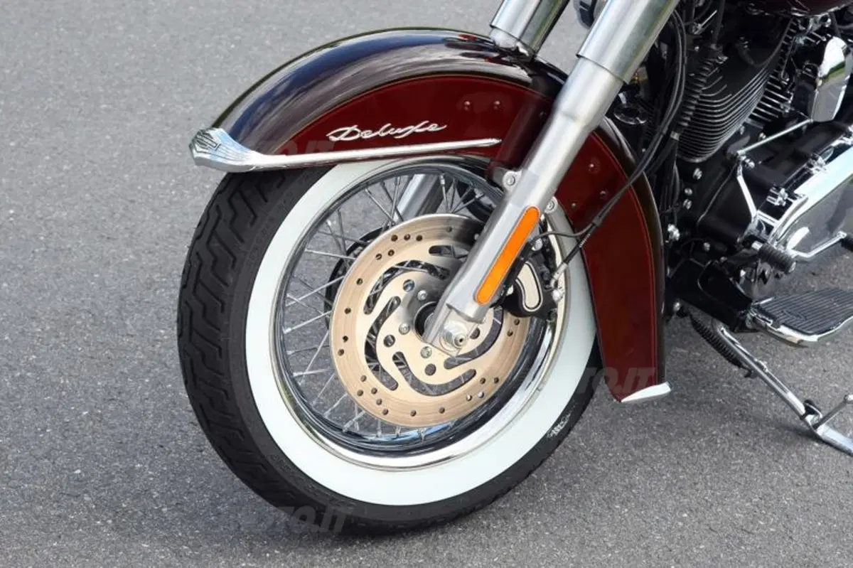Harley-Davidson 2011  (57)