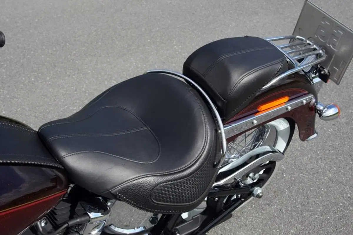 Harley-Davidson 2011  (58)