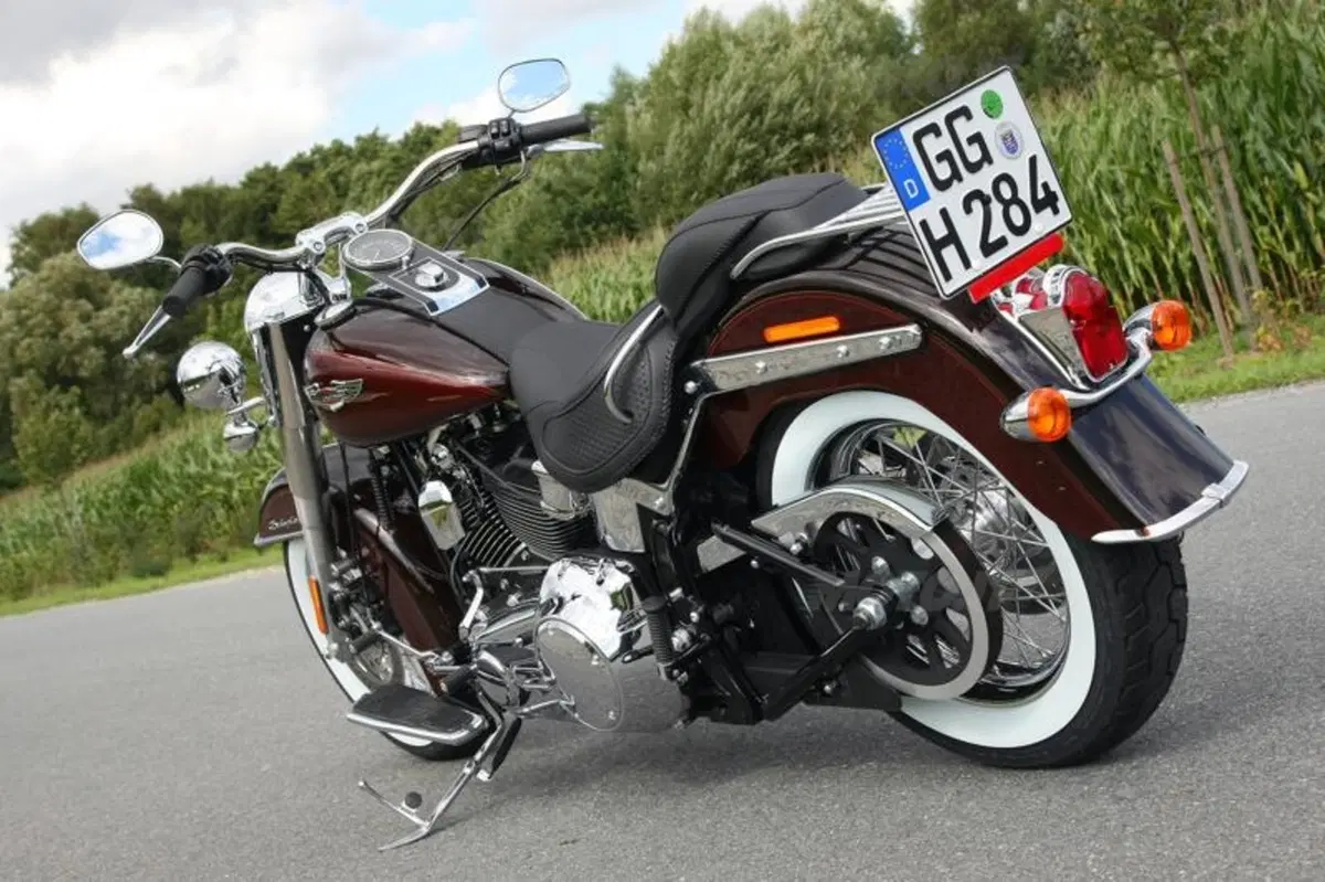 Harley-Davidson 2011  (65)